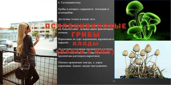 MDMA Premium VHQ Алексин
