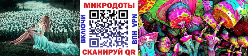 как найти закладки  Крымск  Псилоцибиновые грибы мицелий 