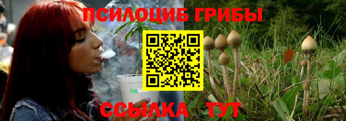 Псилоцибиновые грибы Psilocybe  Псилоцибиновые грибы Psilocybine cubensis  Крымск  Вход с VPN 
